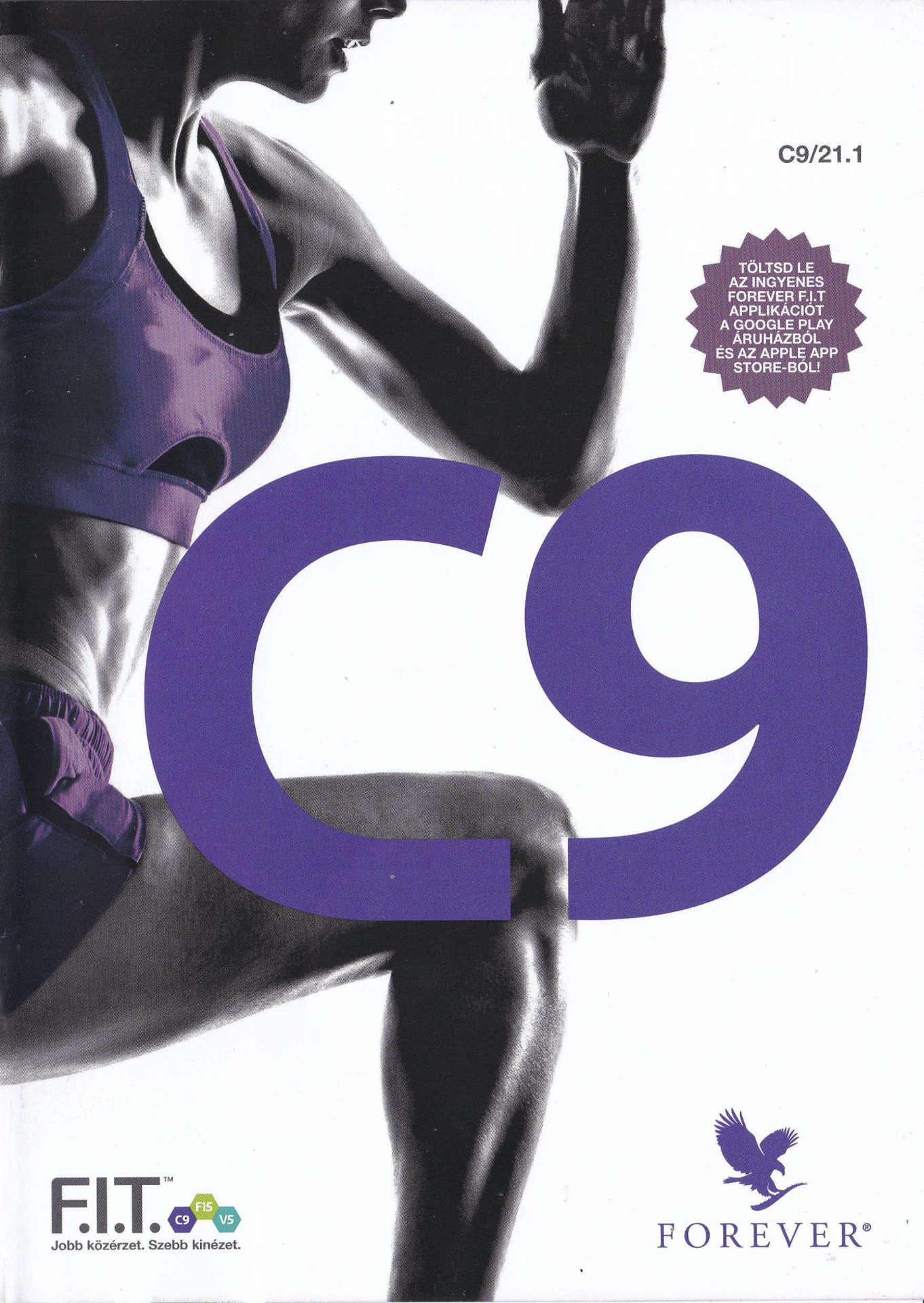 Clean9 program - pdf